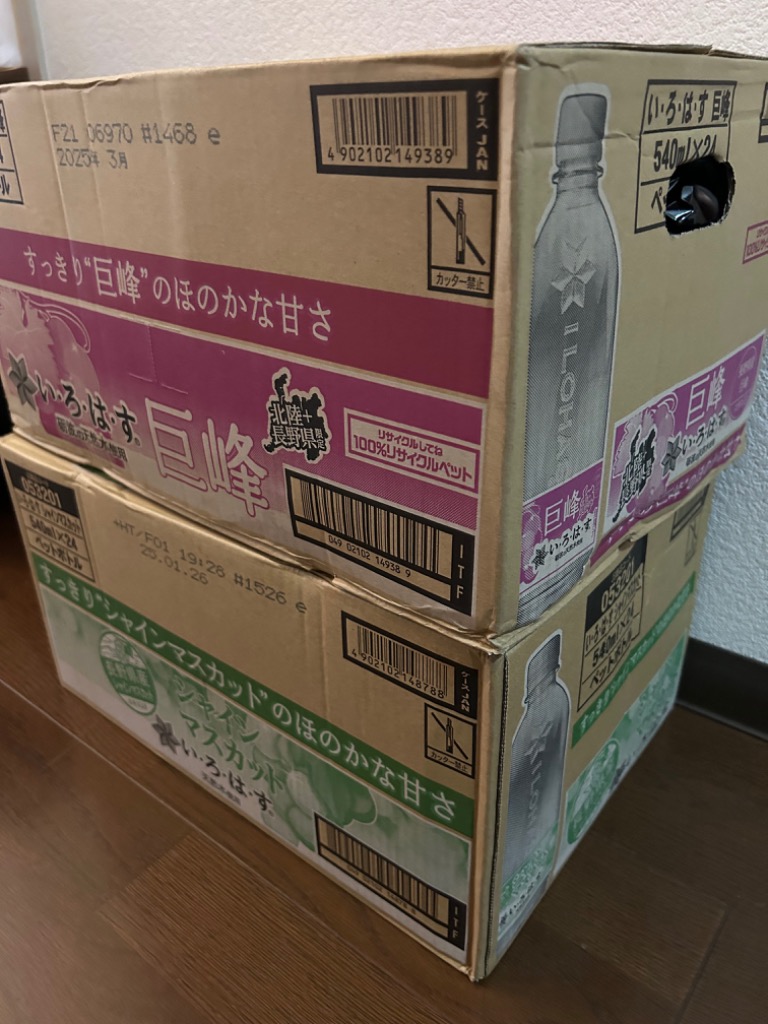 レビュー画像