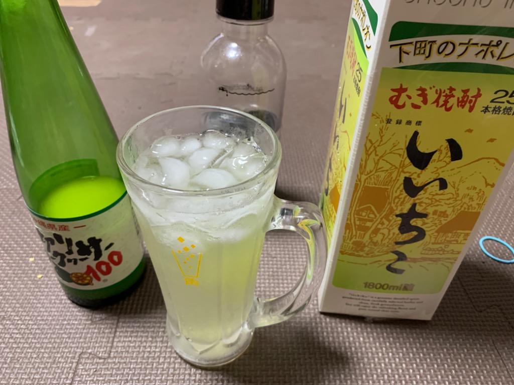 いいちこ 焼酎 25度 1.8L 1800ml パック 1ケース 6本 麦焼酎 三和酒類