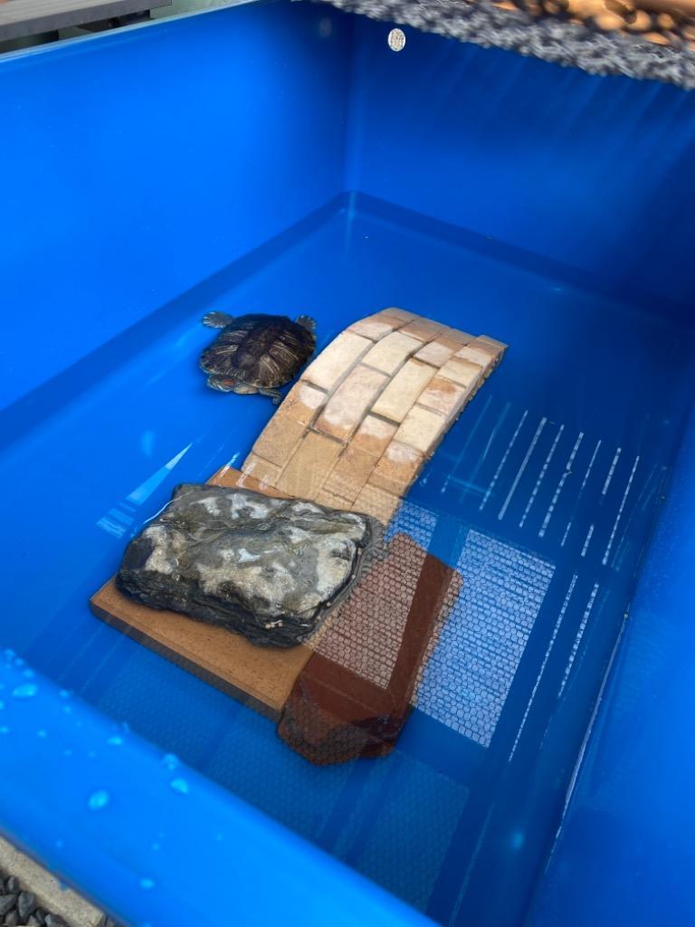 代引き時間指定不可】大型トロ舟 角型 たらい 水槽 プール 屋台 金魚すくい プラスチック ビオトープ キヴォトス400L : 93110024003  : リブウェルYahoo!店 - 通販 - Yahoo!ショッピング