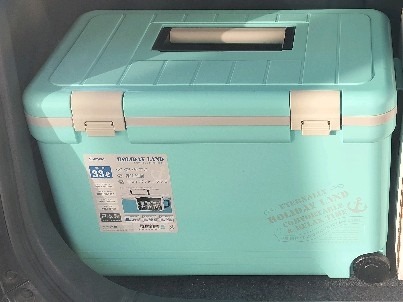 伸和（ 日用品、アウトドア用品） クーラーボックス 大型 保冷力