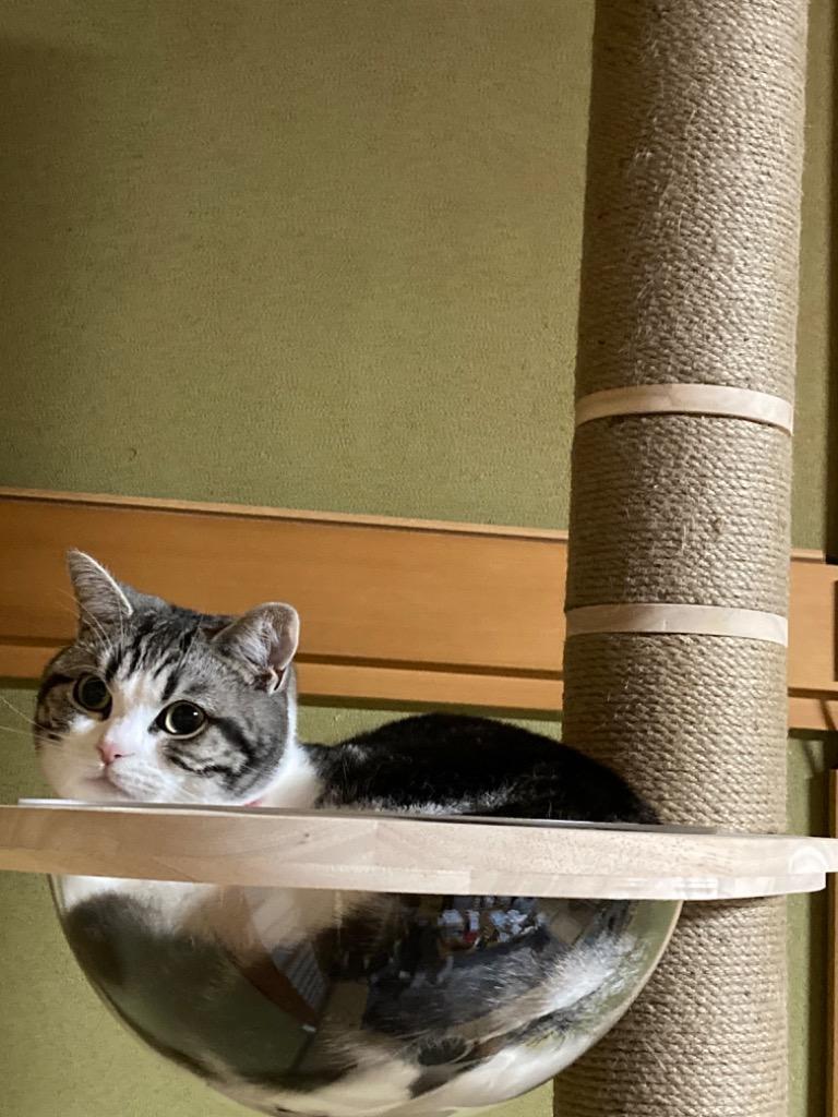 CAT TOWER STADIUM 爪とぎ 10cm[つっぱり式キャットタワー専用 CAT TOWER STADIUM 爪とぎ 10cm[つっぱり式キャットタワー専用