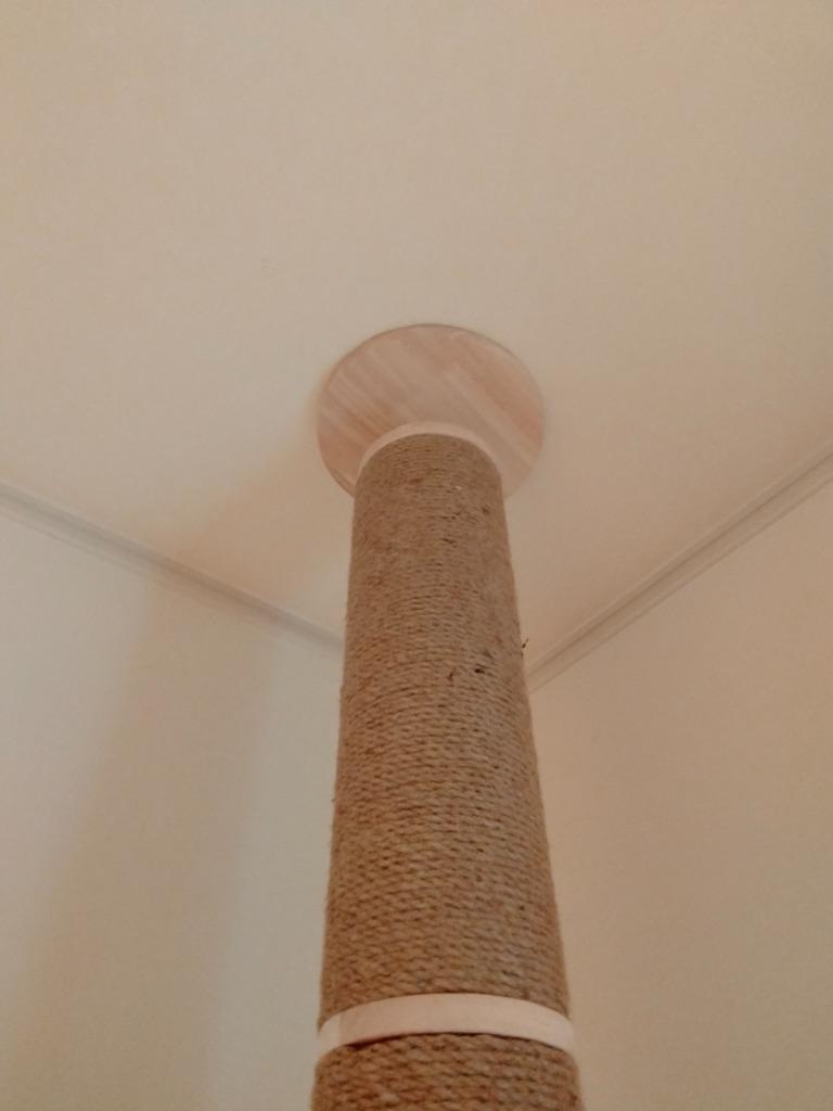 1件目のレビュー画像 | 0