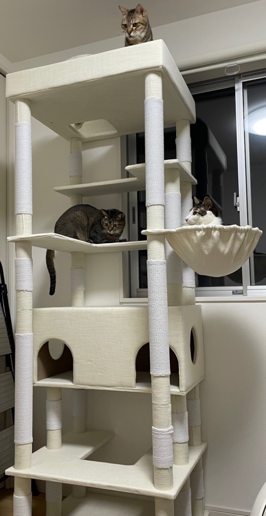 期間限定価格】 ファブリック キャットタワー 猫タワー 猫 キャット 
