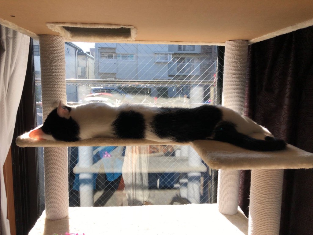 全体のレビュー画像 | 1-0