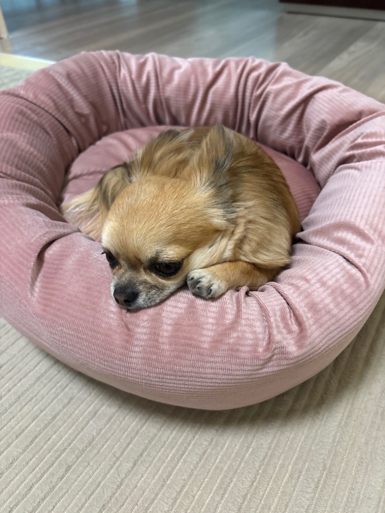 4件目のレビュー画像 | 0