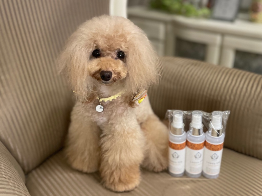 全体のレビュー画像 | 3-0