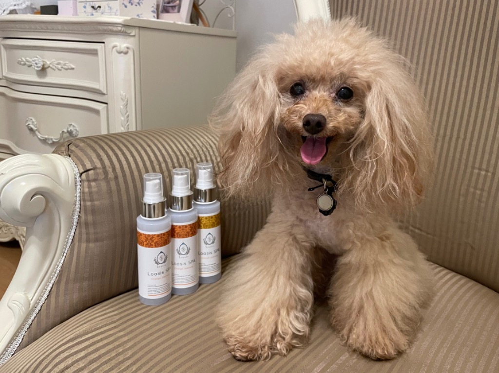 全体のレビュー画像 | 0-0