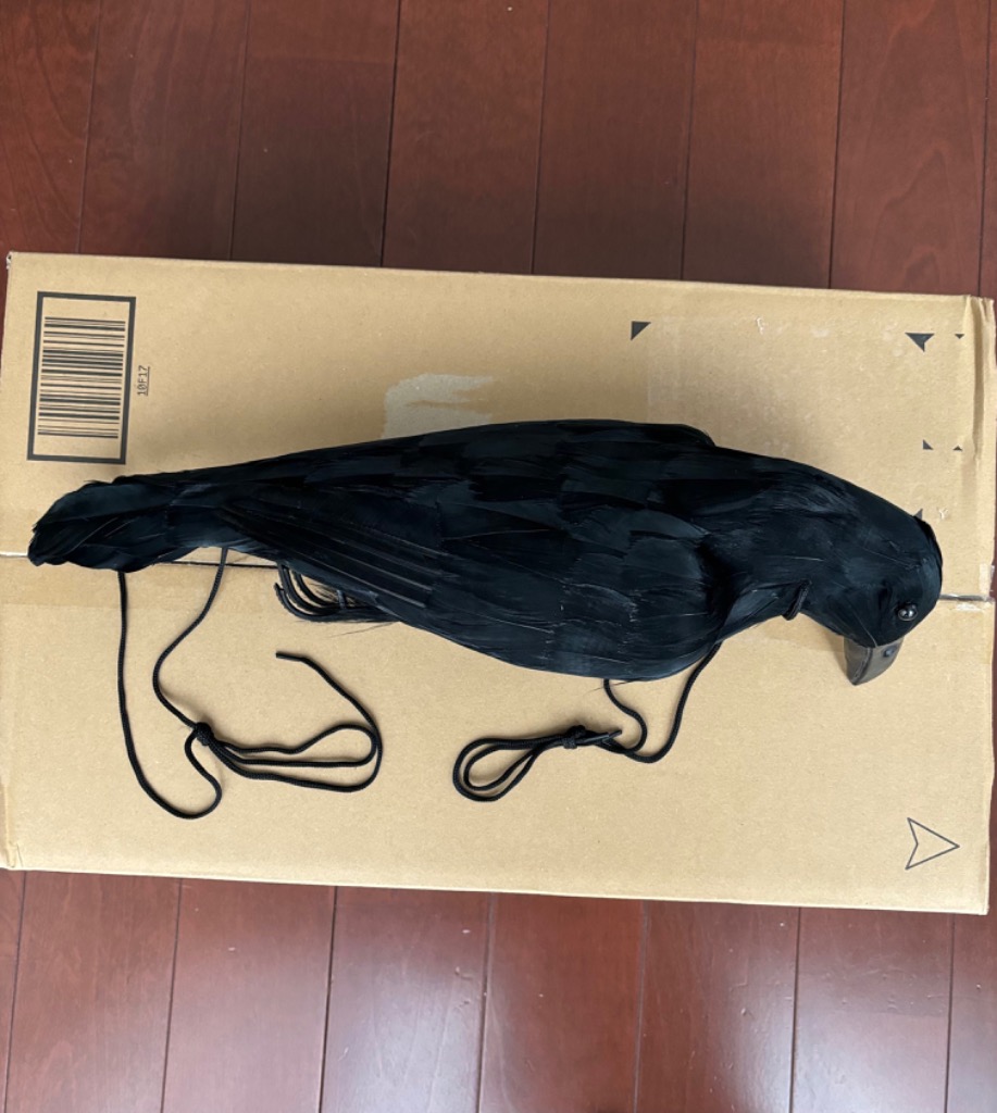 1件目のレビュー画像 | 1
