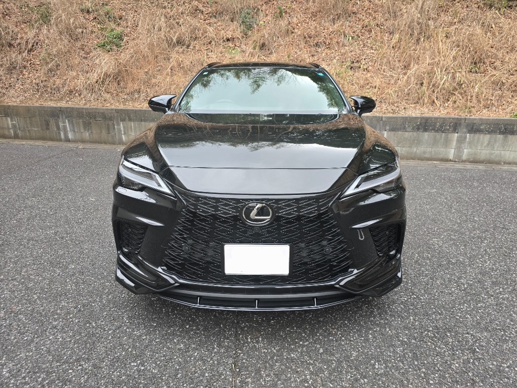 アレックスグリル LEXUS RX F SPORT LA/LH系専用 ※2トーン塗装(純正