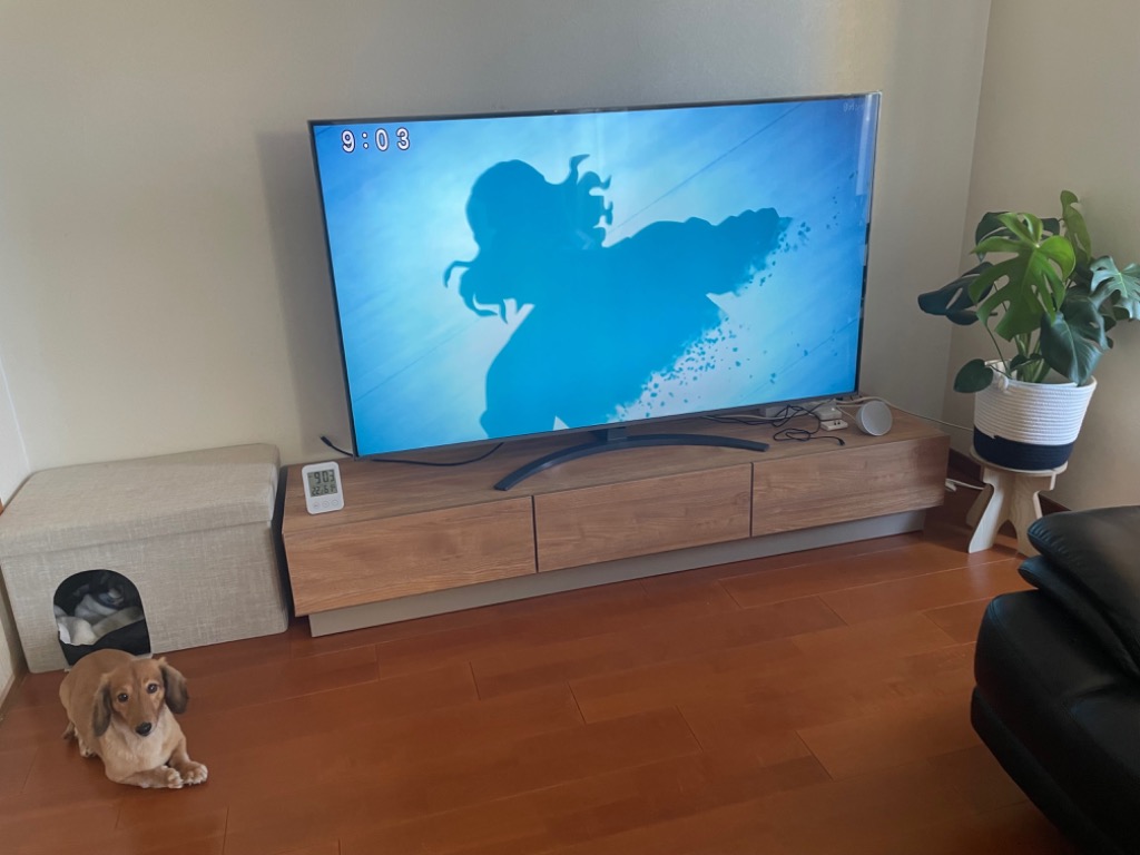 レビュー画像