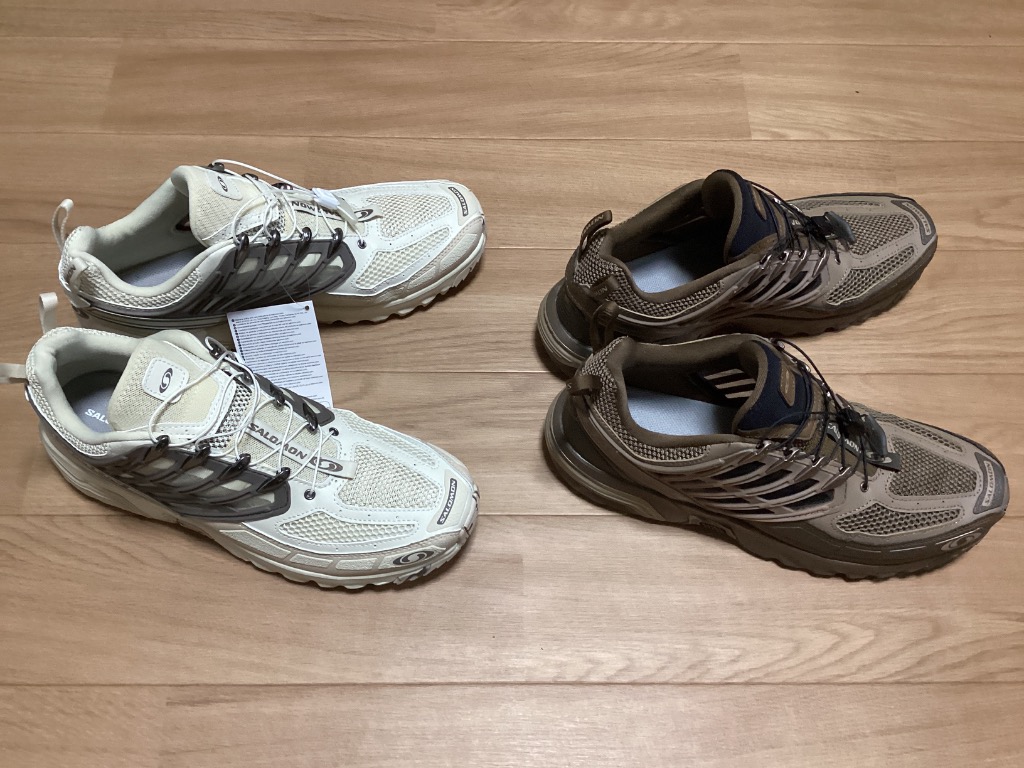 SALOMON★サロモン ACS PRO DESERT ACS Pro デザート メンズ 靴 サロモン SALOMON スニーカー エーシーエス プロ デザート