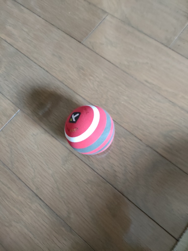 レビュー画像