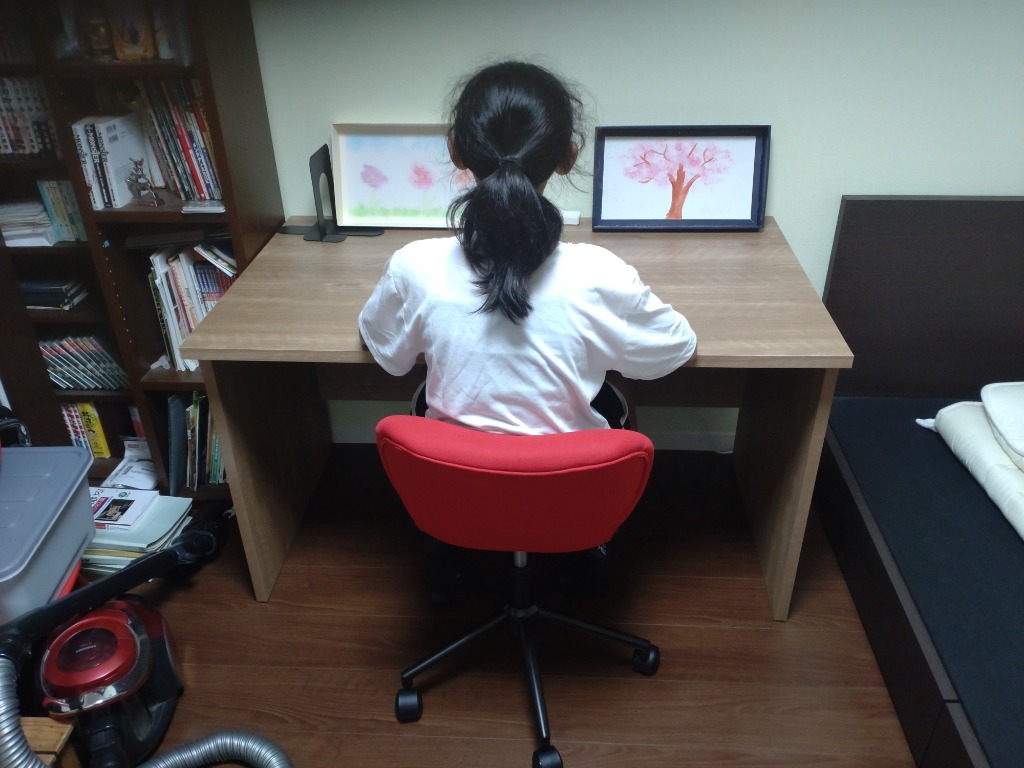 DOSHISHA 選べるカラー オフィスチェア 姿勢 サポート 疲れ DOSHISHA 選べるカラー オフィスチェア 姿勢 サポート 疲れ