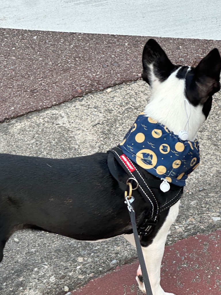 全体のレビュー画像 | 2-0