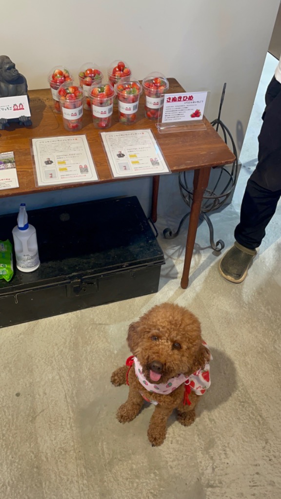 全体のレビュー画像 | 6-0