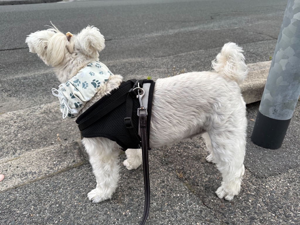 全体のレビュー画像 | 4-1