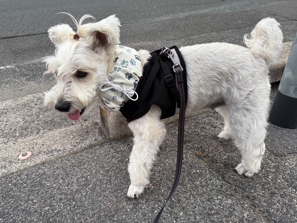 全体のレビュー画像 | 4-0