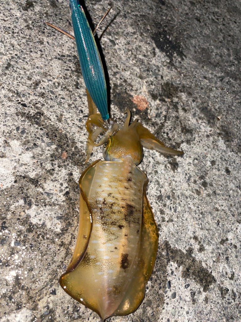 エバーグリーン　ヤッケ エバーグリーン ヤッケ 作業着ナイロンヤッケ（色：グリーン系