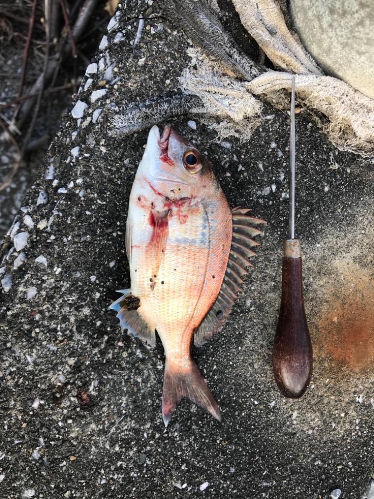 TG HATTORIオリジナルカラー メタルジグ 30g 25gグロー3個セット TG HATTORIオリジナルカラー メタルジグ 30g 25gグロー3個セット