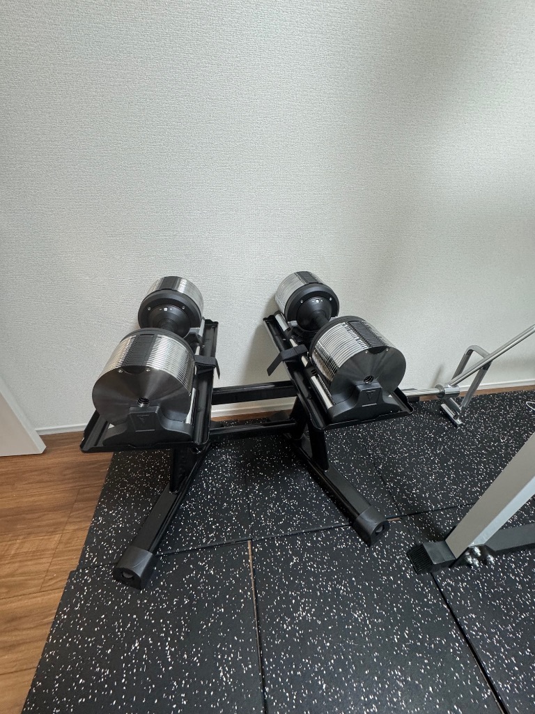 レビュー投稿で2年保証） ライシン ヘリックスミラー 1kg刻み 40kg 2個