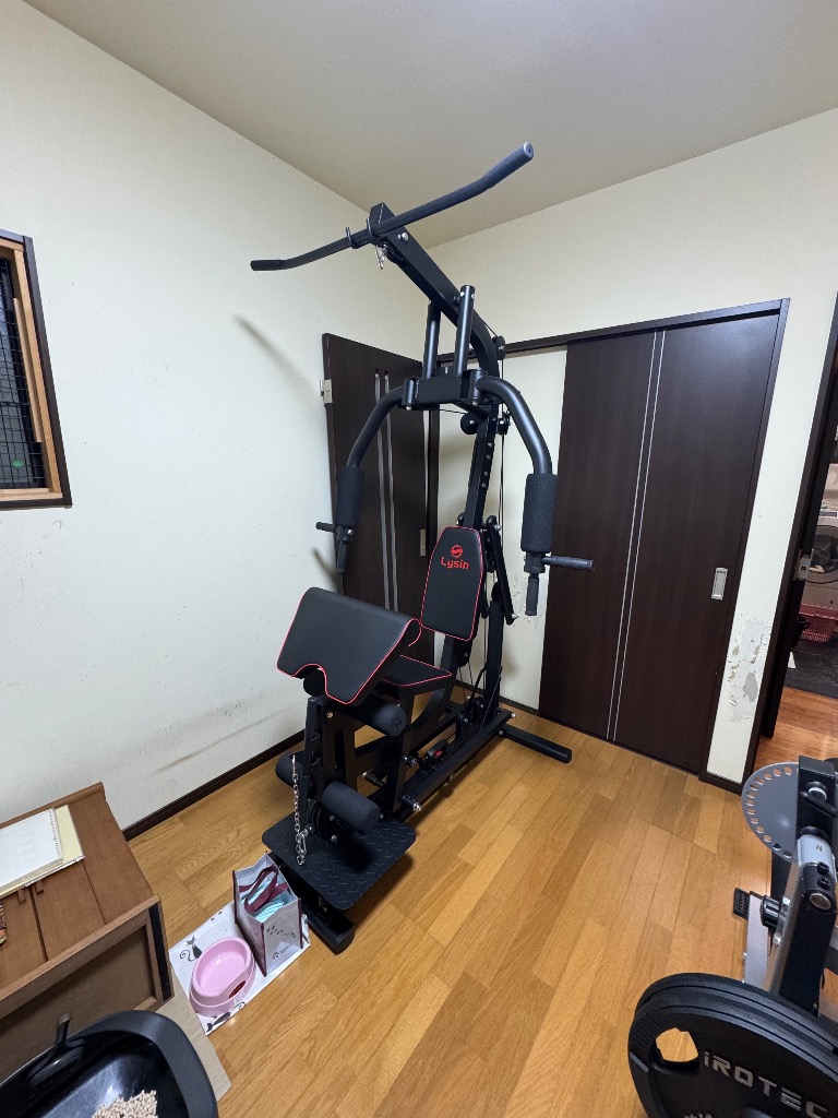 ライシン ホームジム DX マルチ トレーニング 器具 セット 総合 大型