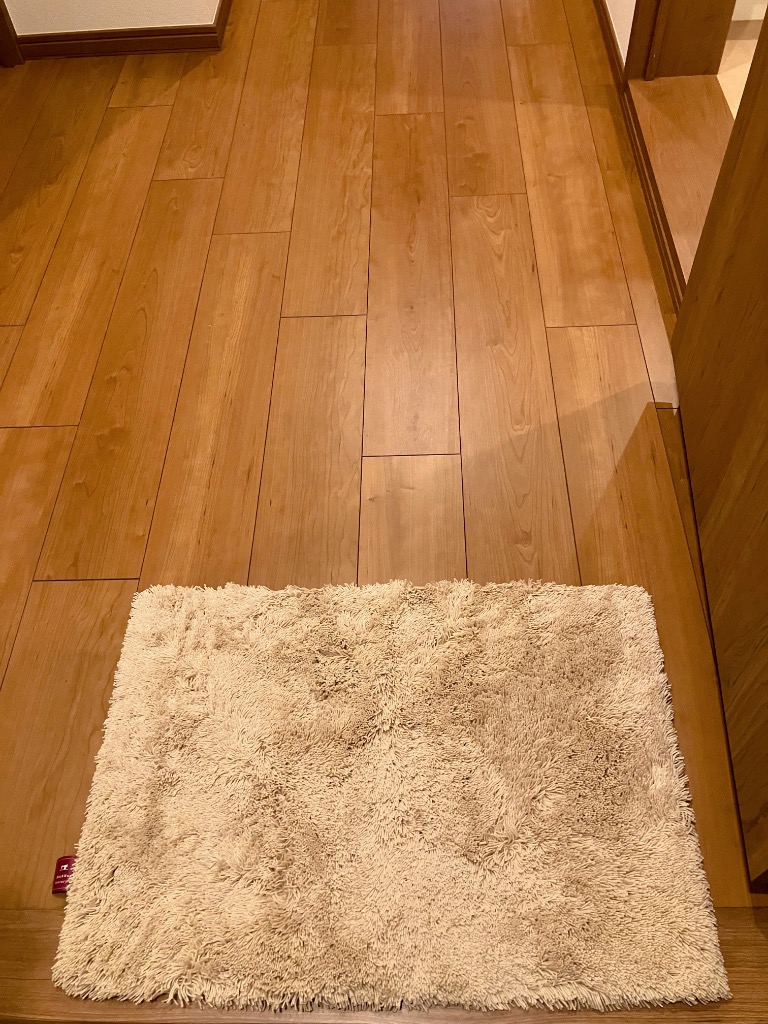 全体のレビュー画像 | 0-1