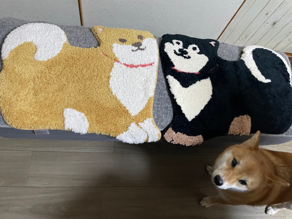 全体のレビュー画像 | 2-0
