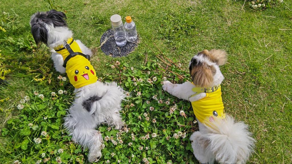 犬服 スマイル タンクトップ 薄手 キャラ 笑顔 黄色 イエロー