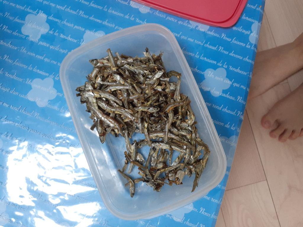 おつまみ おやつ 国産 やみつき まるごと小魚 300g お徳用 珍味 瀬戸内産カタクチイワシ 使用 ビール お酒 ワイン ウィスキー など ポイント  宅飲み :kozakana-300:MAEDAYA 前田家 - 通販 - Yahoo!ショッピング