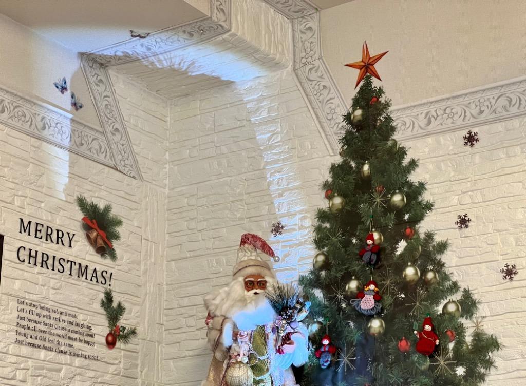 全体のレビュー画像 | 3-0