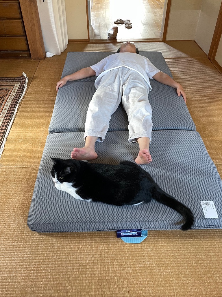 全体のレビュー画像 | 0-0