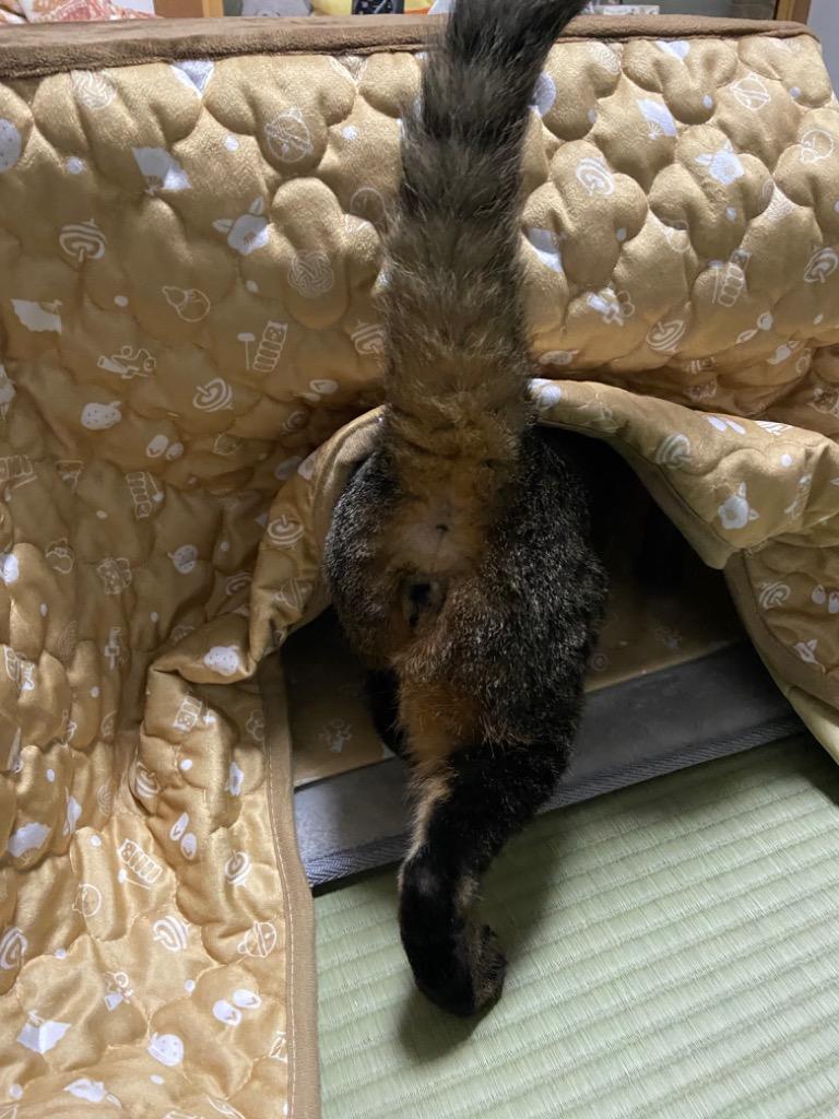 マルカン マルカン 遠赤外線にゃんこの和みこたつ L CT-544 マルカン マルカン 遠赤外線にゃんこの和みこたつ L CT-544
