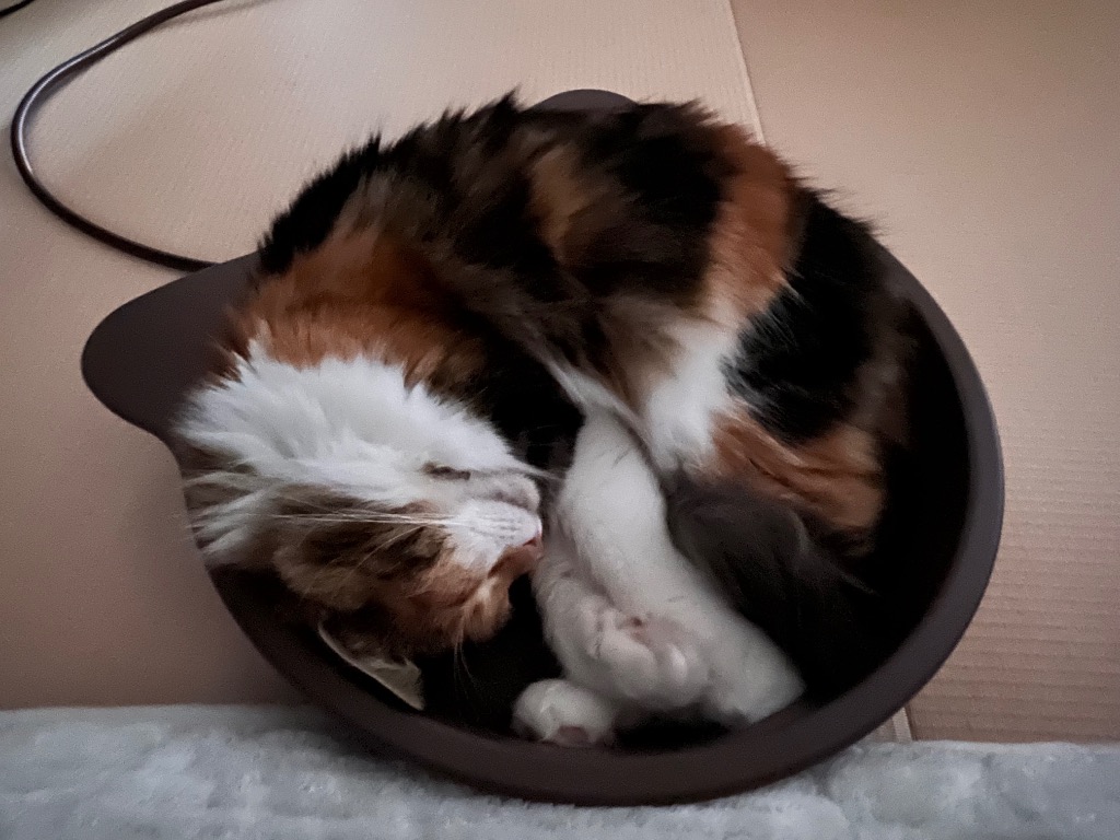 マルカン マルカン ホッとヒーター遠赤外線猫鍋マット付 CT-566