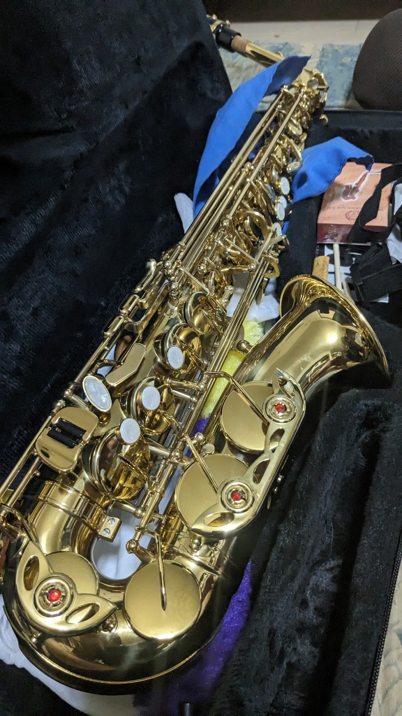 アルトサックス 初心者セット E Saxophone ゴールドラッカー ケース