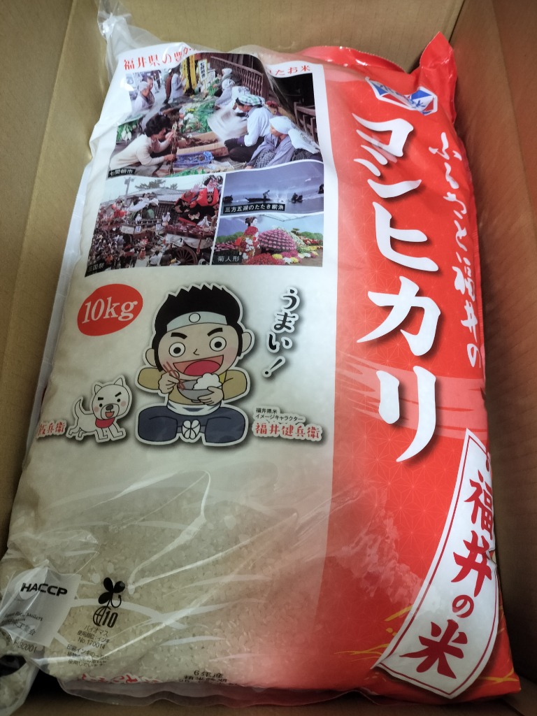 お米 米 10kg 令和6年産 福井県産 コシヒカリ こしひかり 福井県