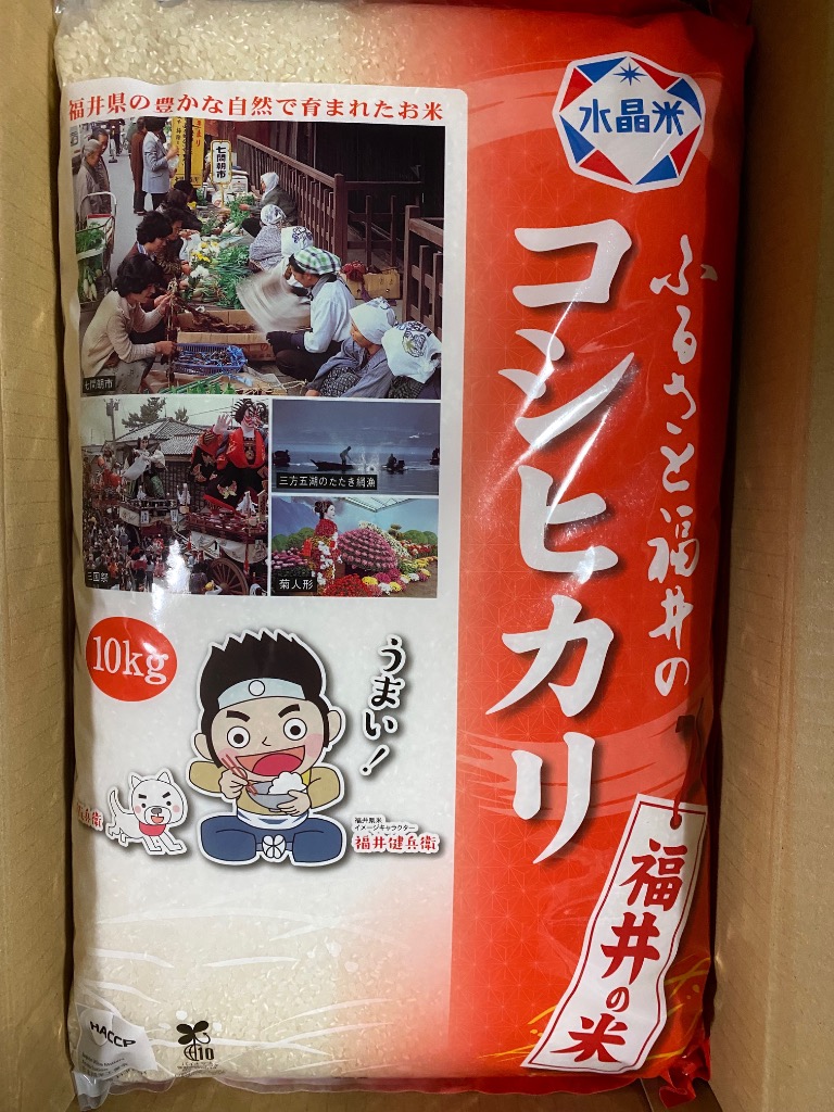 お米 米 10kg 令和6年産 福井県産 コシヒカリ こしひかり 福井県