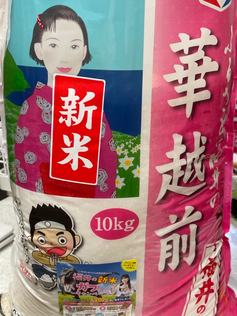【新米】福井県産華越前10kg新米ハナエチゼン お米 米 10kg 新米 令和6年産 福井県産 華越前 ハナエチゼン