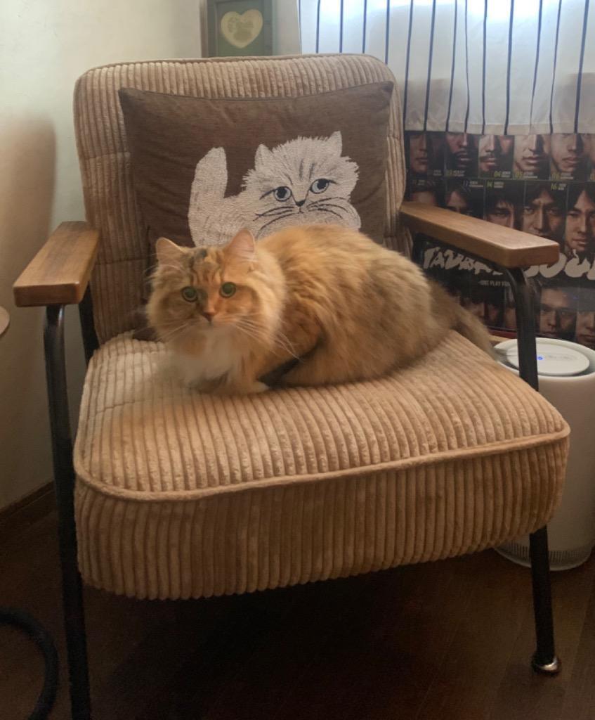 全体のレビュー画像 | 8-0