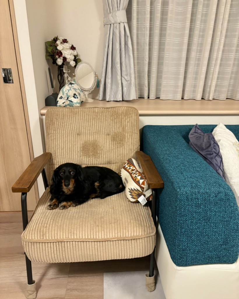 全体のレビュー画像 | 4-0