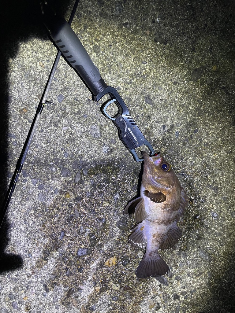 全体のレビュー画像 | 1-1