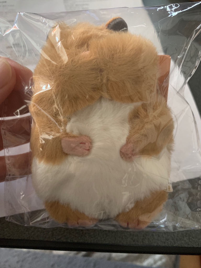 1件目のレビュー画像 | 1