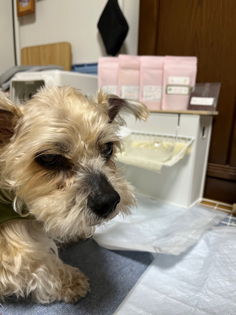 1件目のレビュー画像 | 0