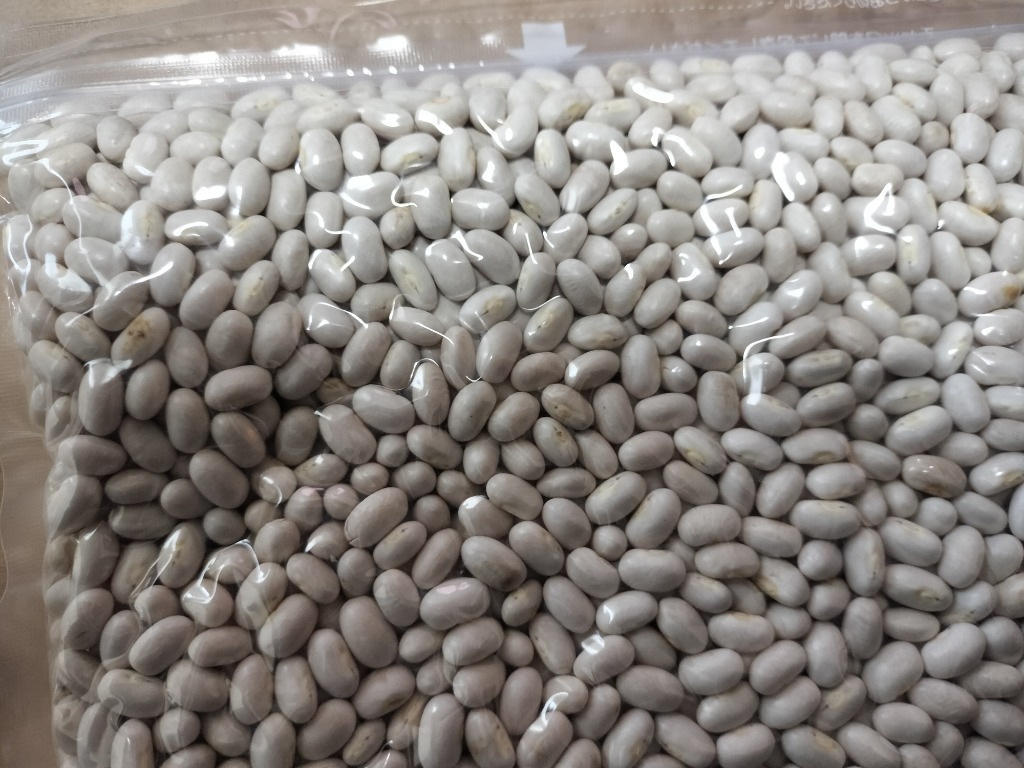 ゆうパケット送料無料】北海道産 手亡豆 「900g」 令和6年産 て