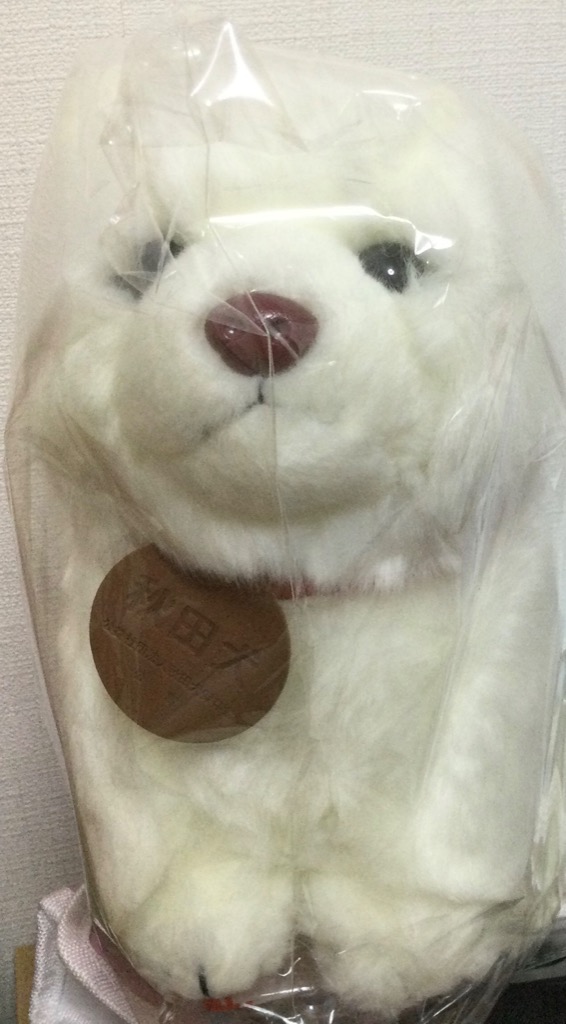 秋田犬 ぬいぐるみ 白毛 保存会 キュート販売 CUTE 座り ホワイト