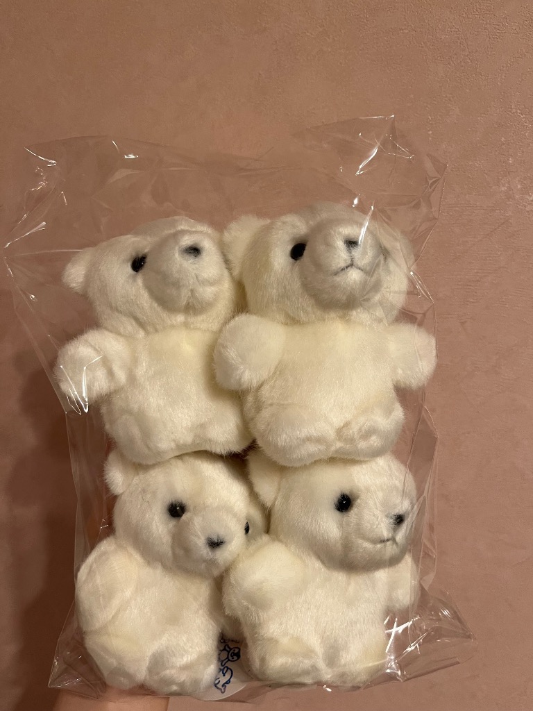 くま ぬいぐるみ シロクマ キュート販売 CUTE マリンコレクション