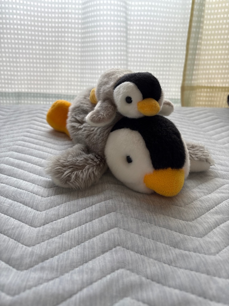 ペンギン ぬいぐるみ 水族館 お土産 キュート販売 CUTE ベビー