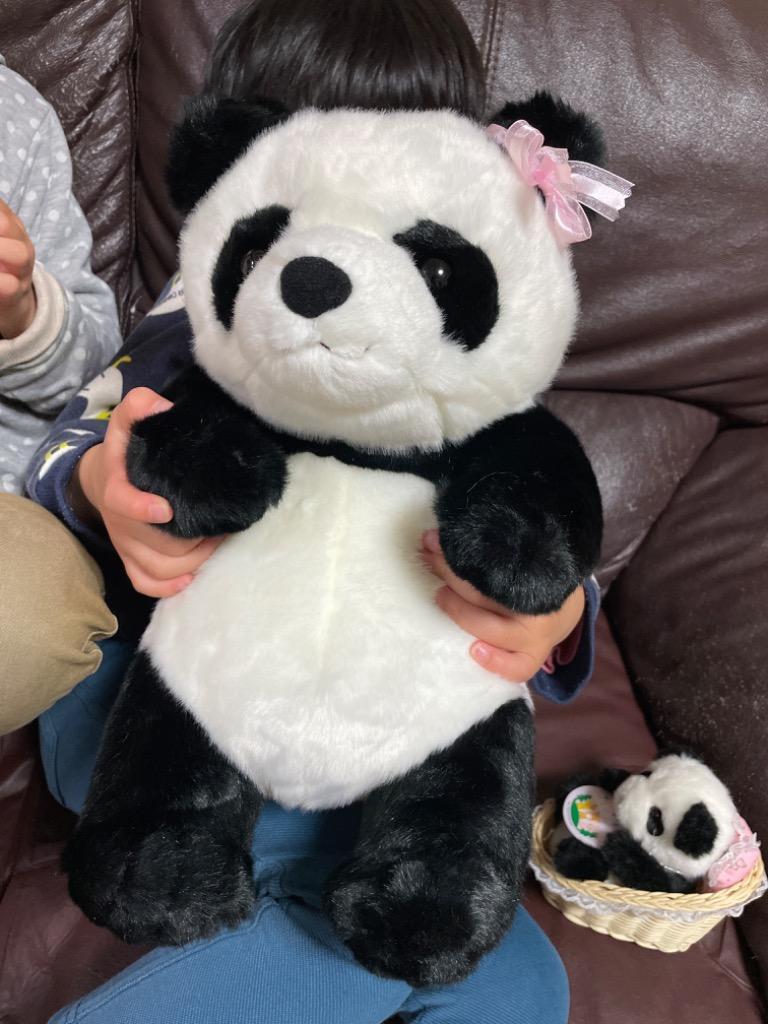 パンダ ぬいぐるみ 動物園 CUTE キュート販売 お座りパンダM