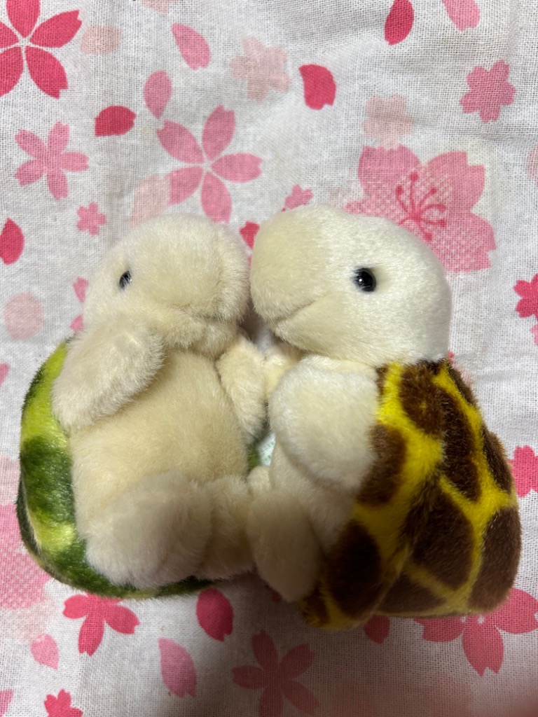 カメグッズ ぬいぐるみ たけのこ TAKENOKO JOYFUL MATES