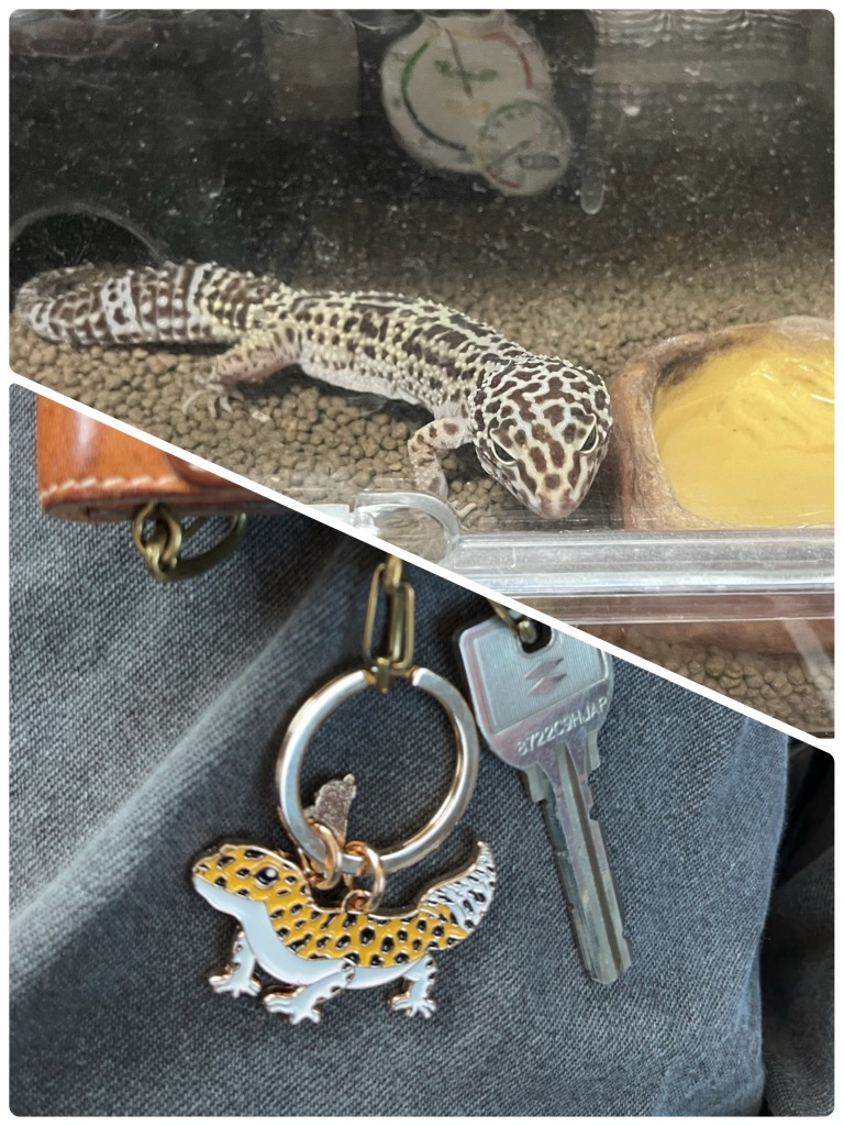 ヒョウモントカゲモドキ グッズ レオパ キーホルダー おしゃれ 金属