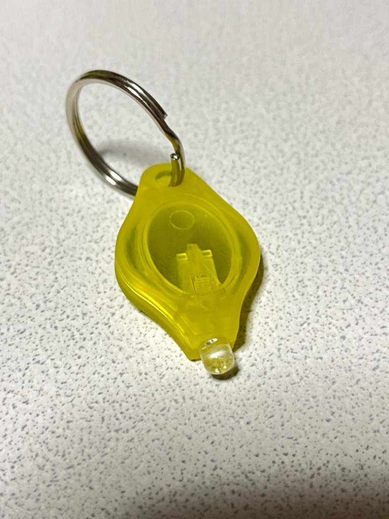お散歩ライト光るキーホルダー型LEDイルミネーション CW-163PL